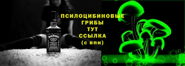 PSILOCYBIN Туринск